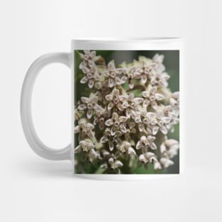 Milkweed Mug